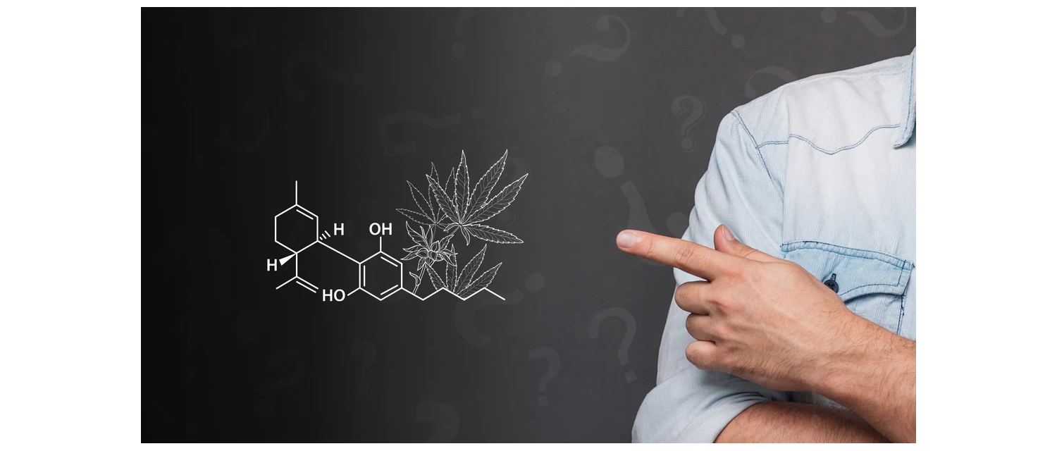 Cannabinoids - their effects explained simply