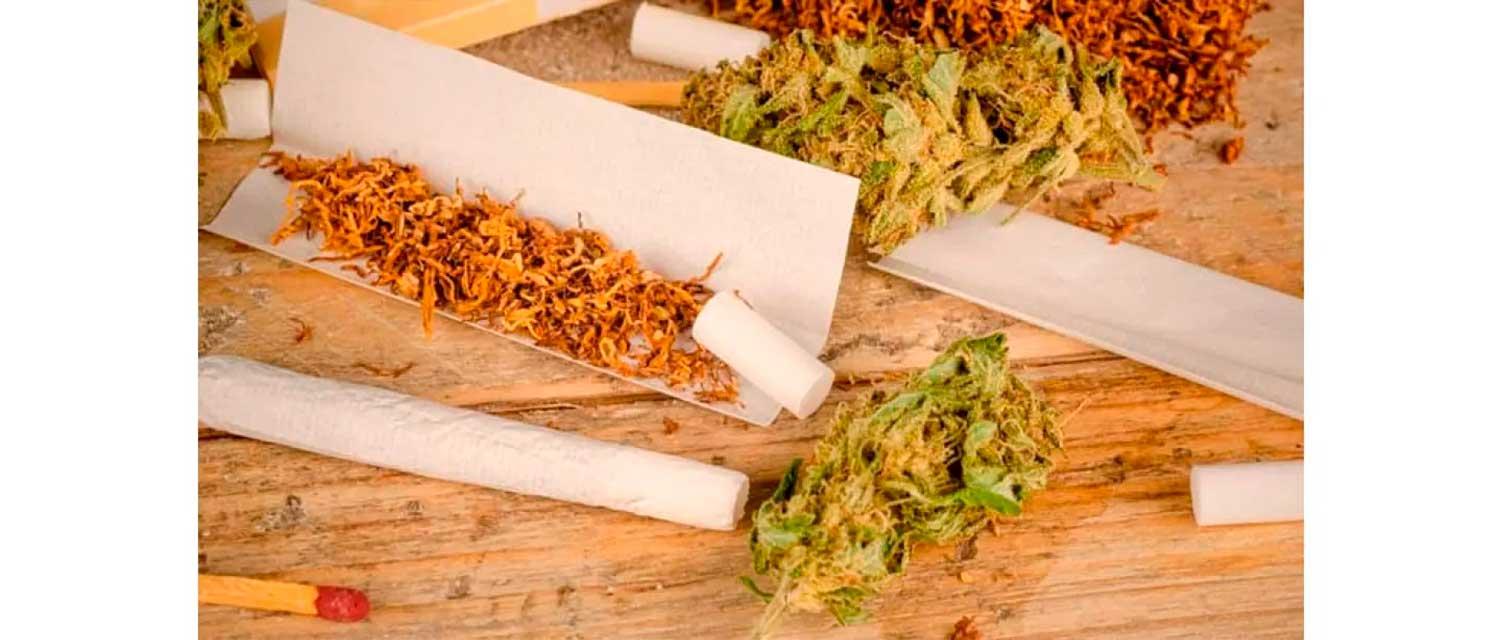 The impact of filters on THC and CBD when smoking cannabis