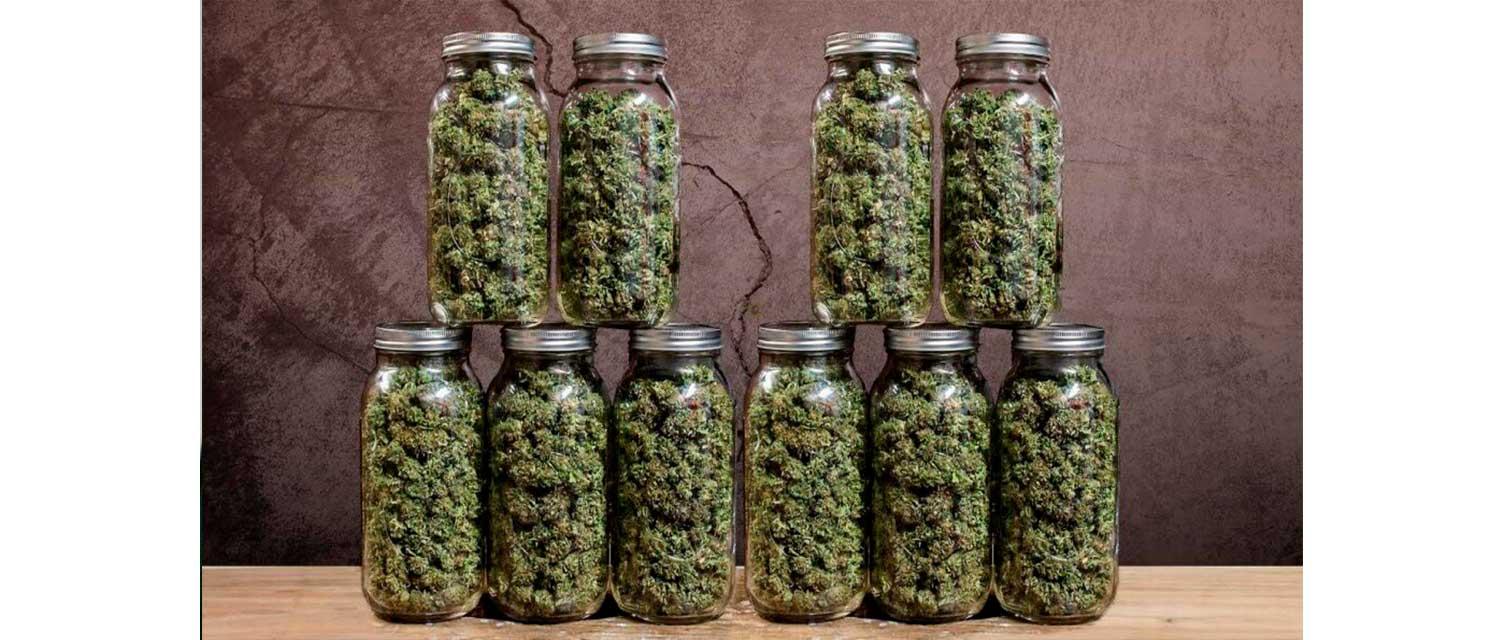 How to best store cannabis to keep it fresh?