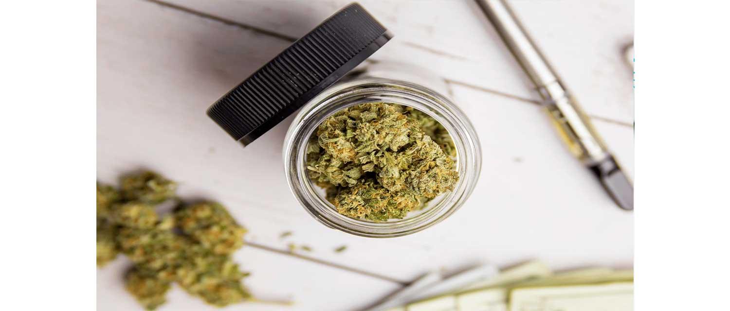 From plant to medicine - cannabis cultivation